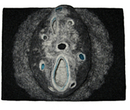 Weiße Wand für junge Kunst