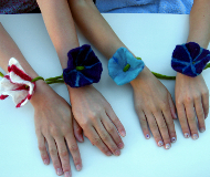 Filzen zum Kindergeburtstag