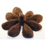 Gefilzter Anis - andere Ansicht