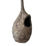 Grosses Beutelmeisennest